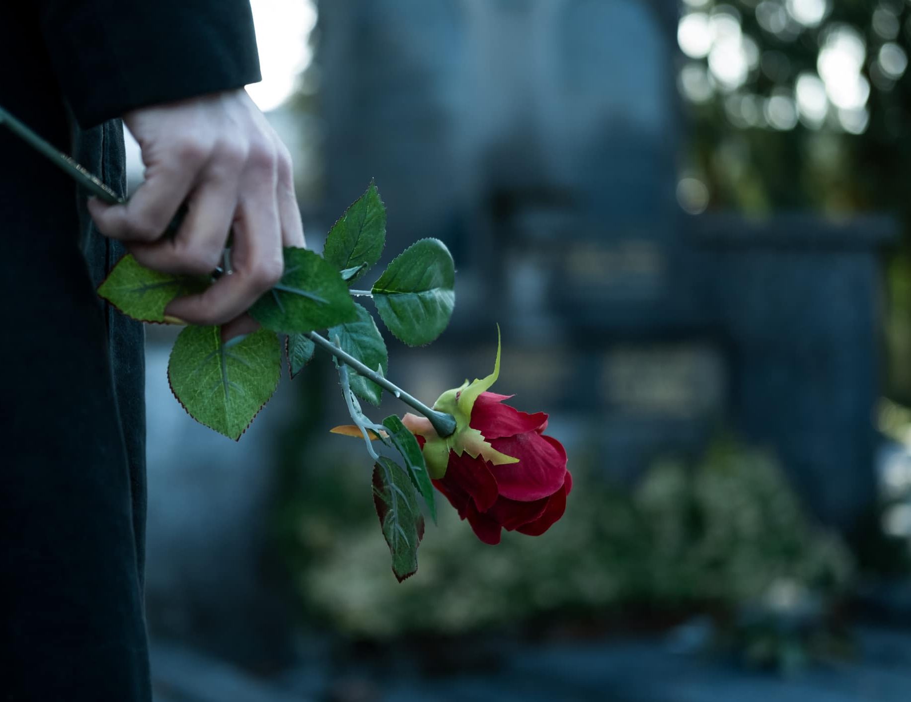 Close-up of a person’s hand holding a rose at a funeral.
