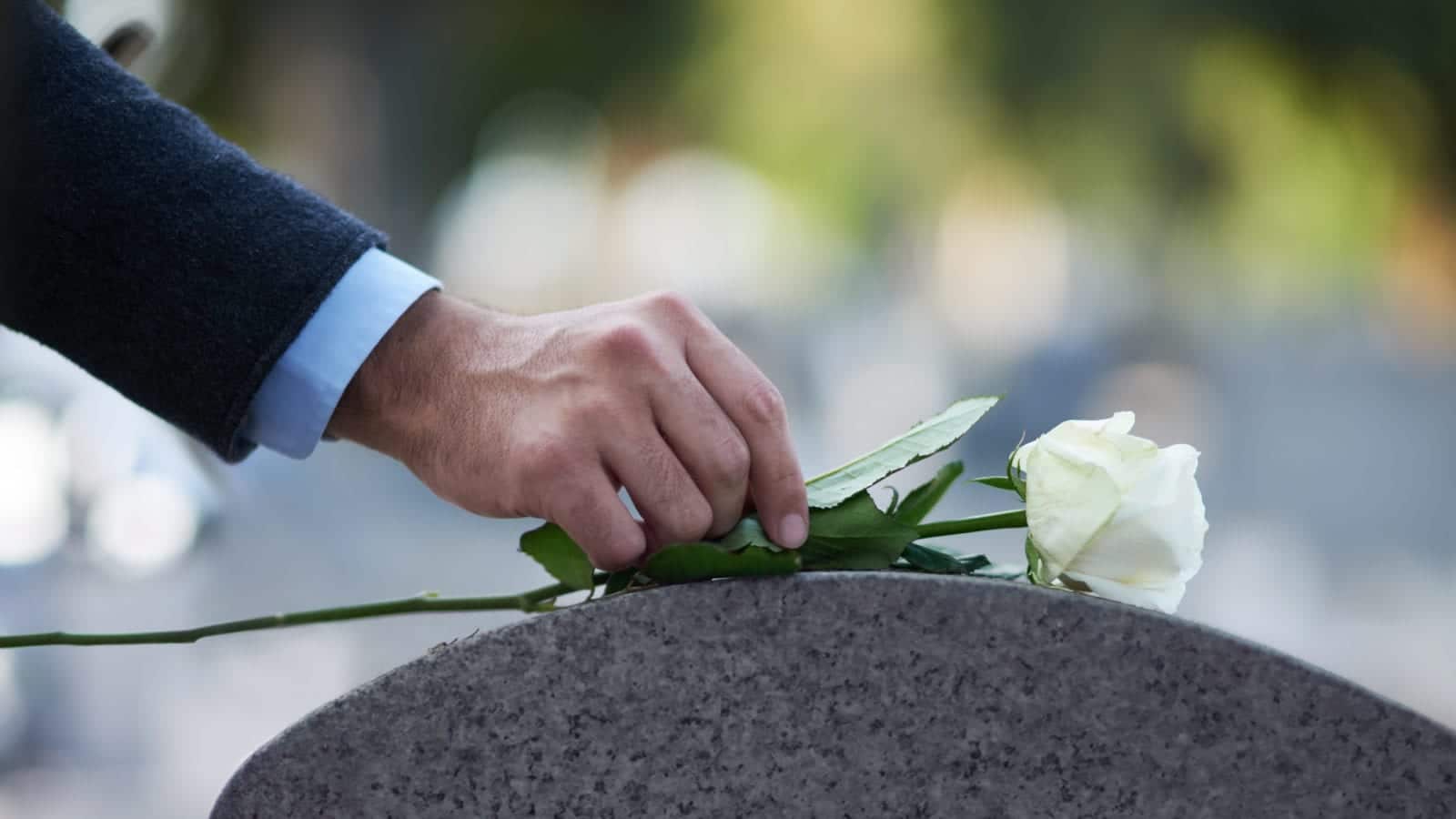 White Rose Gravestone Stock Photo