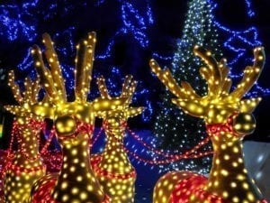 light-up-reindeer